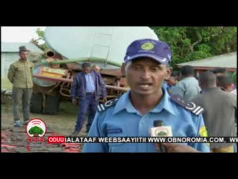 Kilaashii 70 Bunnoo Beddelleetti Qabame