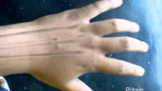 After Effects Wolverine Claws By Pritam Saha.