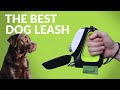 Gogoleash  the best dog leash 2020  allinone dog leash and collar system