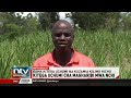 Wenyeji wa Magharibi kutegemea kilimo cha miwa kama kitega uchumi