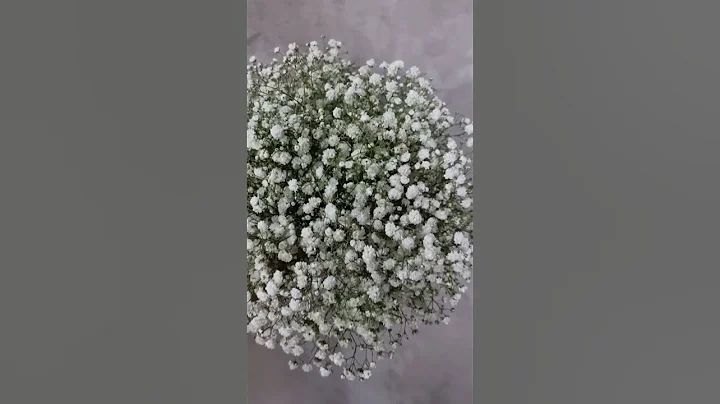 respect 👨‍❤️‍💋‍👨 flowers for the bride 💝 #shorts #flowers #wedding #respect