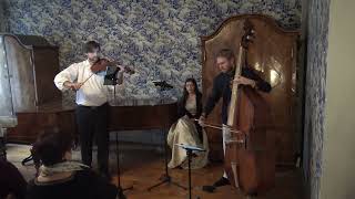 Luigi Borghi (1745 - 1806) - Sonata D dur for Viola d'amore & Violone