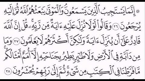 #صفحة_وتلاوه الصفحة رقم 132 الشيخ فارس عباد