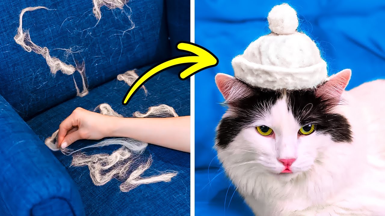 CATS VS. DOGS | Cute And Clever Pet Hacks, Gadgets And DIY Crafts To Comfort Your Pet