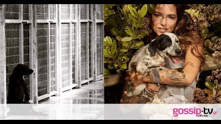 Η Εριέττα Κούρκουλου εκκενώνει το καταφύγιο ζώων της: «Είμαστε σε κατάσταση πανικού»
