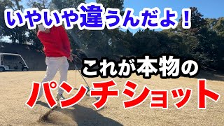 【ズドォン！ズキューーン！】パンチはこうやって打つんだよ！