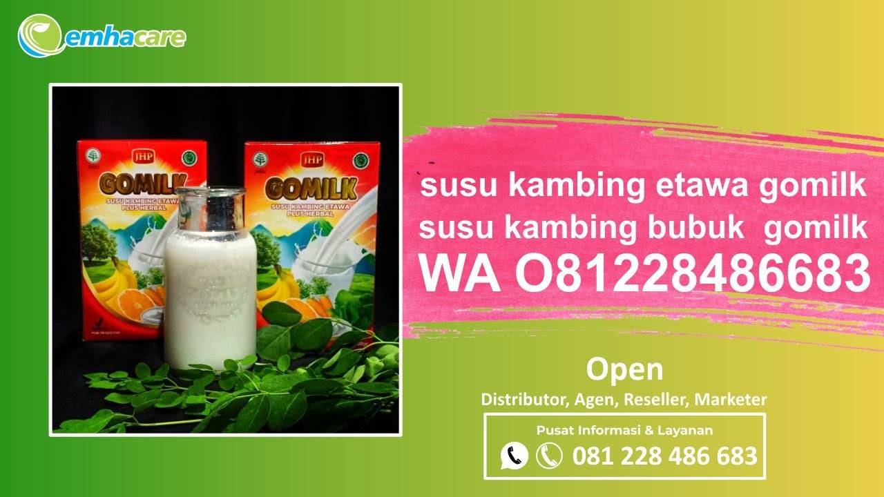 susu kambing etawa gomilk, susu kambing bubuk gomilk WA O81228486683