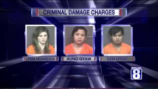 BB Gun vandals face felony charges