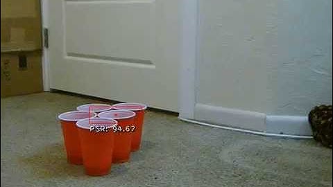 Week 5 Cup Tracking Test