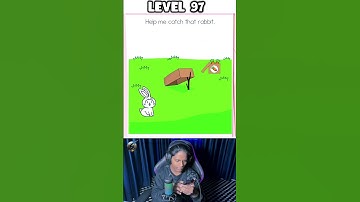 HELP ME CATCH THE RABBIT ? BRAIN TEST LEVEL 97 | @SunnyGamerzOfficial.