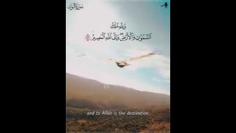 💕سلمان العتيبي❤حالات وتس اب اسلامية♡تلاوة مؤثرة🌼🌼مقاطع فيديو قثيرة♡تلاوات هادئة