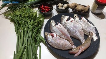 Câu cá tráp về hấp tàu xì - món ngon không thể bỏ qua ( Tập 2).