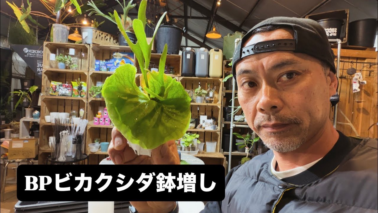 2月25日（水）夕方LIVE 前半　バックハグ⁈