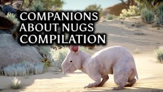 Dragon Age: Inquisition - Companions about nugs compilation