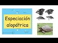 Especiación Alopátrica (Ejemplos explicados) - #clasesdebiología
