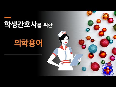 하트만 추천