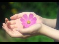 「生き様 死に様」  樹樹  (ikizama sinizama)