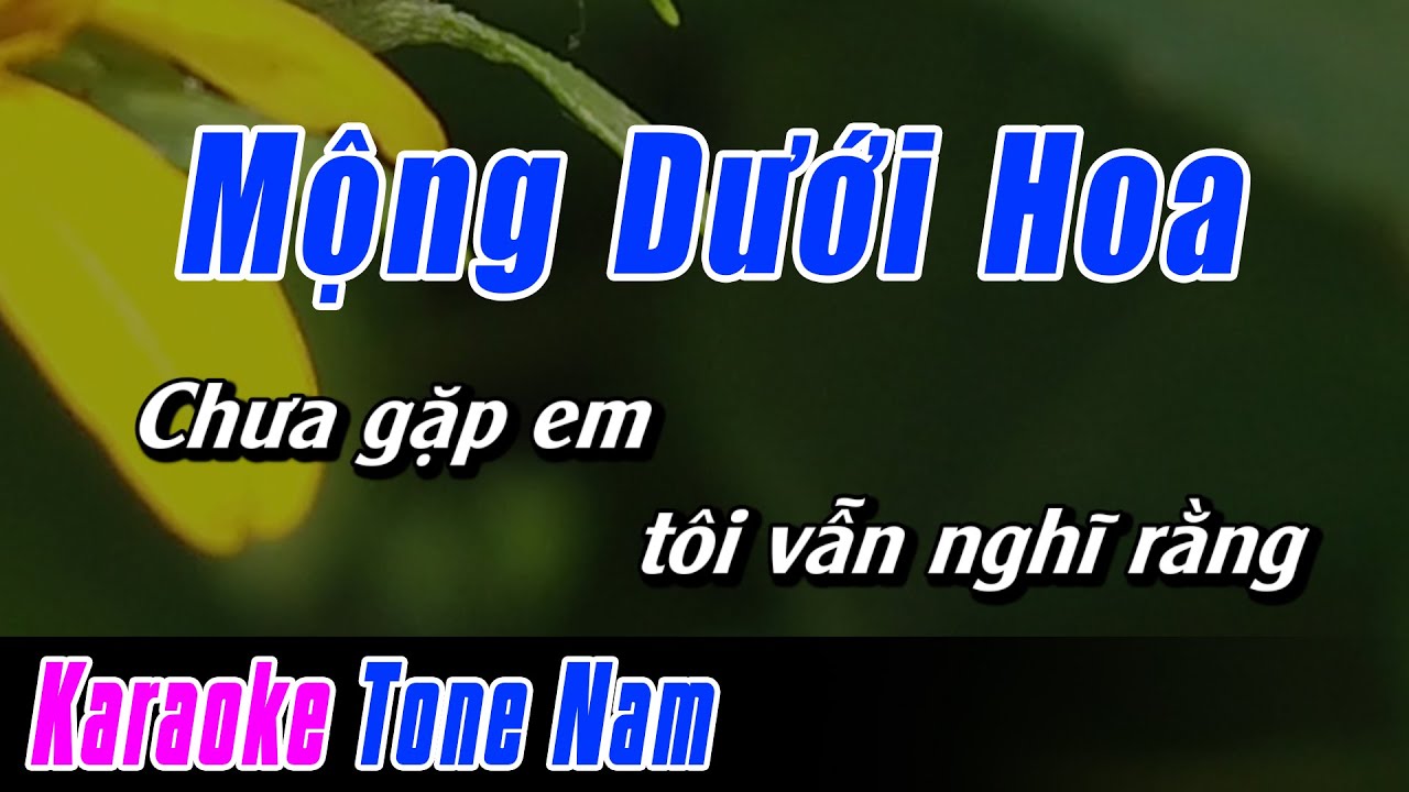 Mộng Dưới Hoa Karaoke Tone Nam | Karaoke Nhạc Sống Chuẩn Mới Nhất NBP. Music