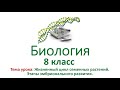 Биология 8 класс. Тема урока: "Жизненный цикл семенных растений. Этапы эмбрионального развития".