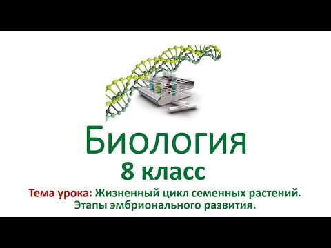 Видео: Основной жизненный цикл растения и жизненный цикл цветущего растения - Садоводство Ноу-хау