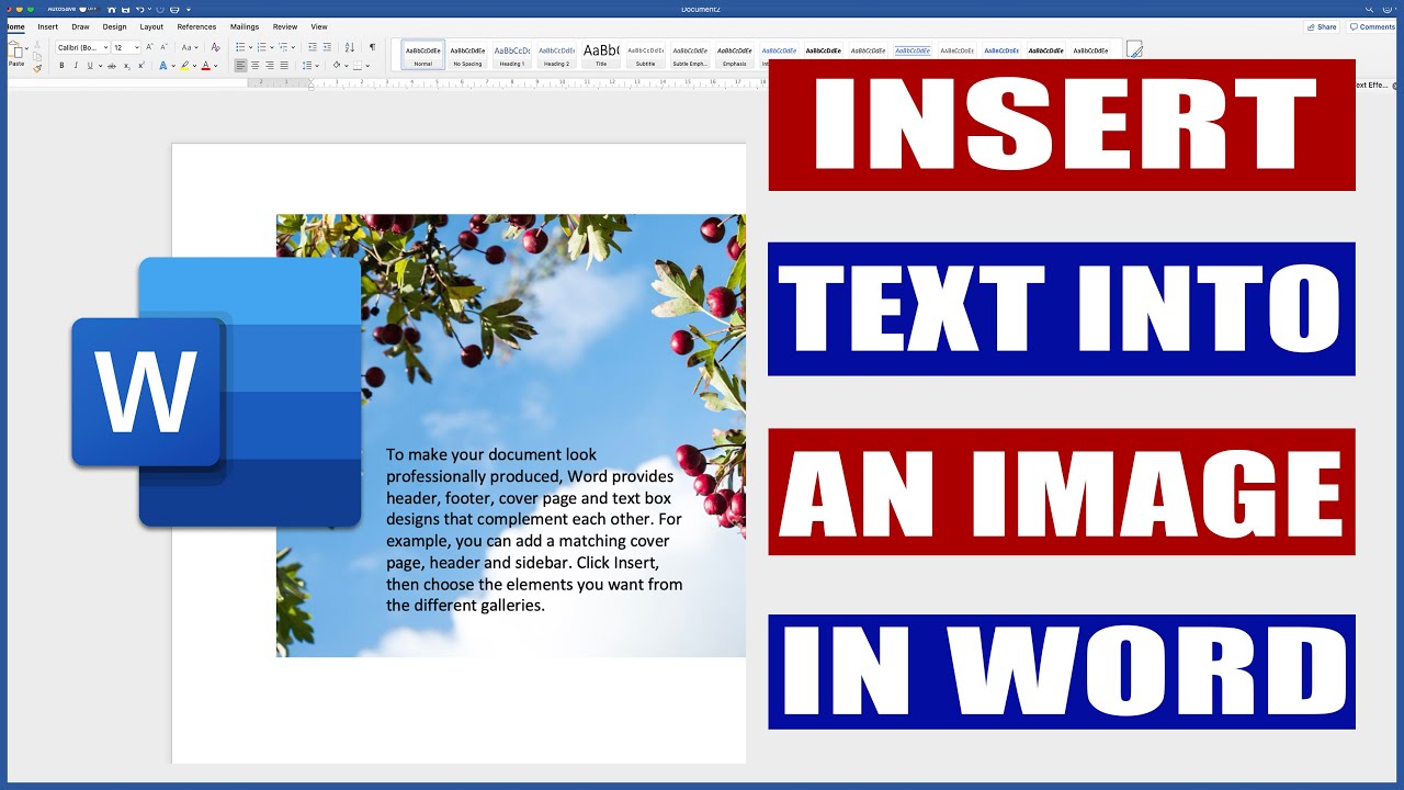 adding images to a word document assignment quizlet