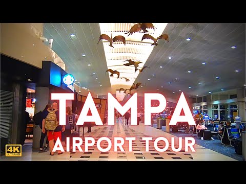 Video: Ist Delta am Flughafen Tampa rot oder blau?