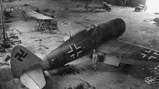 German Engineers Captured a P-47 Thunderbolt — Then Realized Why They Could Never Win the Air War