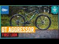 GT Aggressor Expert 29 Hardtail Bike 2021: First Look | CRC |