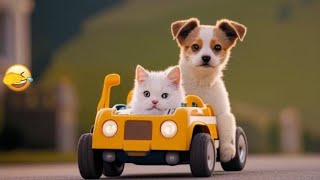 😍🐈 New Funny Cats and Dogs Videos 😹🤣 Best Funniest Animals Video 2024 # 18