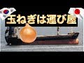 [韓国ニュース ]玉ねぎは運び屋