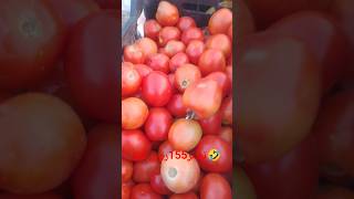 🔥 ٹماٹر کی قیمت آسمان کو چھونے لگی! 😱 | منڈی میں 155 روپے کلو 🍅📈 #tomato #trending #viralvideo