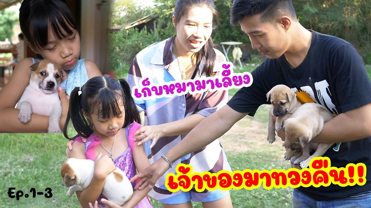 เก็บหมามาเลี้ยง เจ้าของมาทวงคืน!! | ลูกหมาหลงทาง EP.1- 3  สนุกต่อเนื่องแบบไม่มีอะไรมาคั่น
