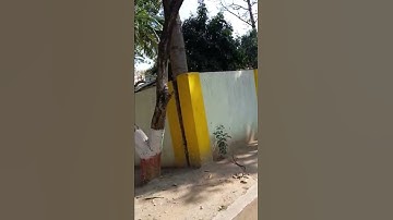 adityapur polytechnic college view