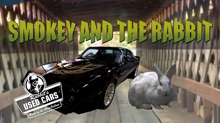 Smokey And The Rabbit - Rabbit's Used Cars