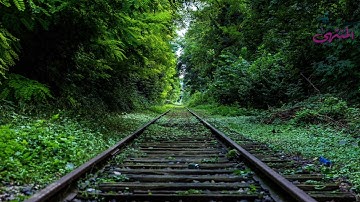 القارئ وديع اليمني - سورة الحديد