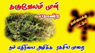 கரவலம மள கணட கதத எதரய அழககம ரகசய மற Spiritual World Tamil