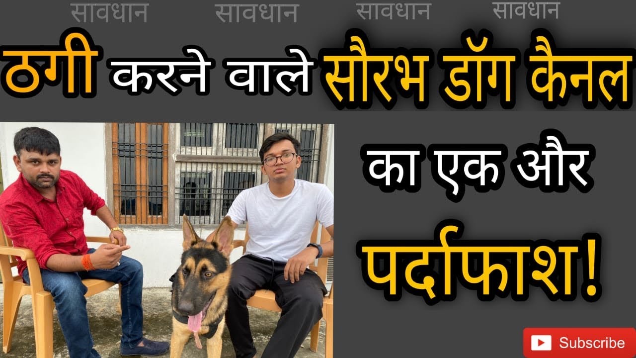 Again Exposed Saurabh Dog Kennel Varanasi Be carful Fraud Saurabh Dog