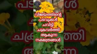 വിജയത്തിന്റെ പടവുകൾ ചവിട്ടി ചക്രവർത്തിയാകുന്ന നക്ഷത്രങ്ങൾ #astrologysign #punyadharshanam #hinduas