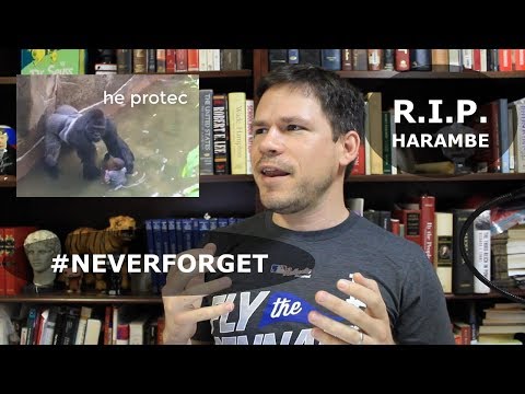 Tribute to Harambe (Memorial Day 2018) #NeverForget