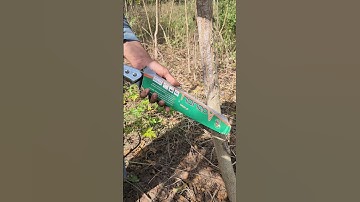 Tree cutting by hand saw#farming#farmequipment#shortvideo#agriculuture#shortvideo
