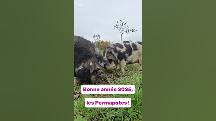 Bonne année 2025, les Permapotes !