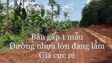 Quá kẹt tiền anh chủ cần bán gấp 1 mẫu hơn giá rẻ xã cù bị huyện châu Đức tỉnh bà rịa Vũng tàu