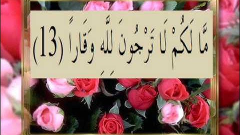 القران الكريم سورة نوح الاية  13