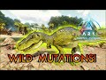 Wild mutations amazing wild discovery ark survival ascended super babies