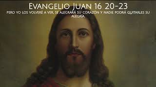 Evangelio & Reflexión | Juan 16 20-23 | 10 Mayo 2024