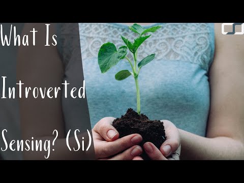 What Is Introverted Sensing (Si)? | Cognitive Functions | CS Joseph