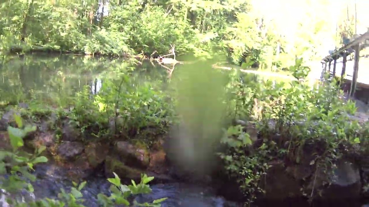 Stadtpark Erding / Unterwasseraufnahmen