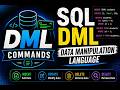 SQL DML Commands Practically in MySQL Workbench (Insert, Update, Delete) | No Talking