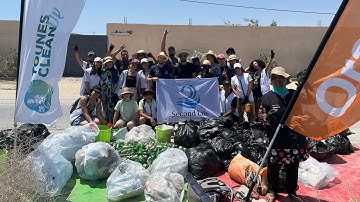 Second Life - an environmental AI revolution 