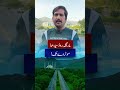 اسلام آباد مارگلہ روڈ کی موٹروے تک توسیع سے سفر ہوگا آسان!